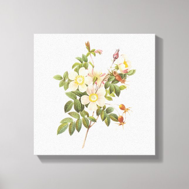 Vintage White Flowers Canvas (Frente)