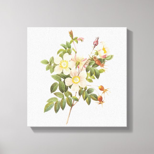 Vintage White Flowers Canvas (Frente)