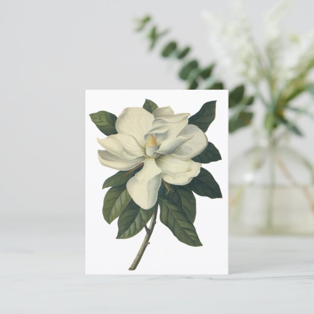 Vintage White Magnolia Blossom Flores Convite (Em pé/Frente)