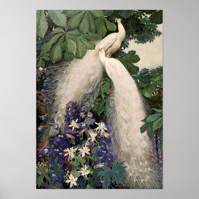 Vintage White Peacock Poster (Frente)