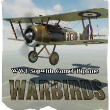 Vintage WI Sopwith Camel Biplane