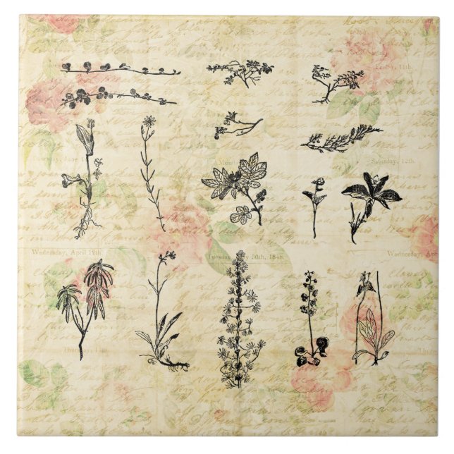 Vintage Wildflower Script Art (Frente)