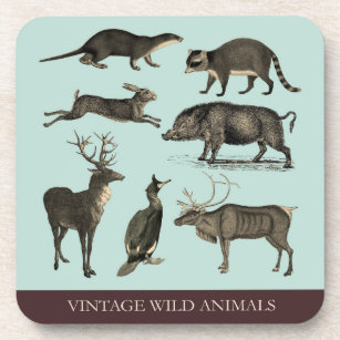 Vintage Wils Animal Plastic Porta copos Set