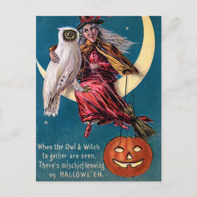 Vintage Witpkin owl Halloween cartão postal (Frente)