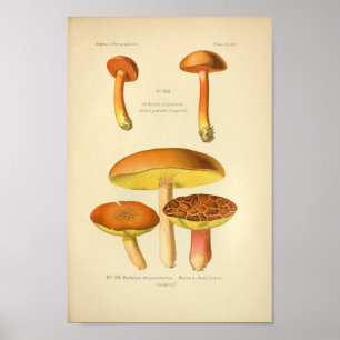 Vintage Yellow Brown Mushrooms Art Impressão fran