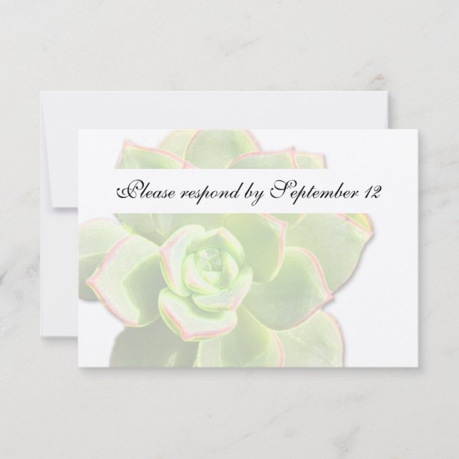 Vintagem Suculenta Verde Translúcida Rsvp (Frente)