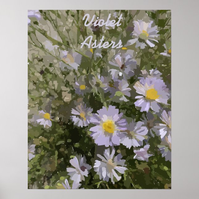 Violet Asters Poster (Frente)