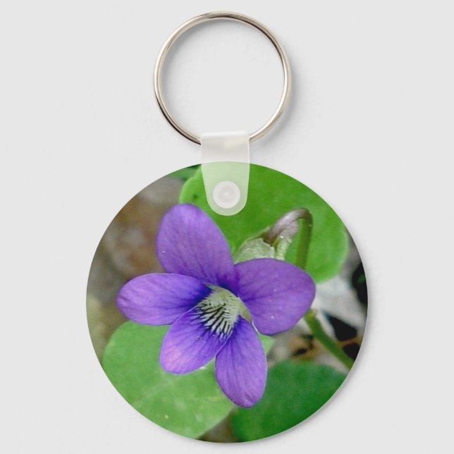 Violet Chaveiro (Frente)