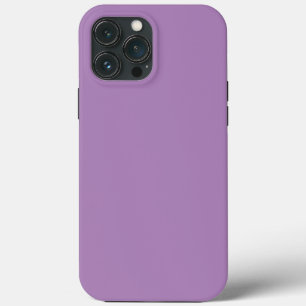 Violeta africana púrpura, púrpura, de cor simples