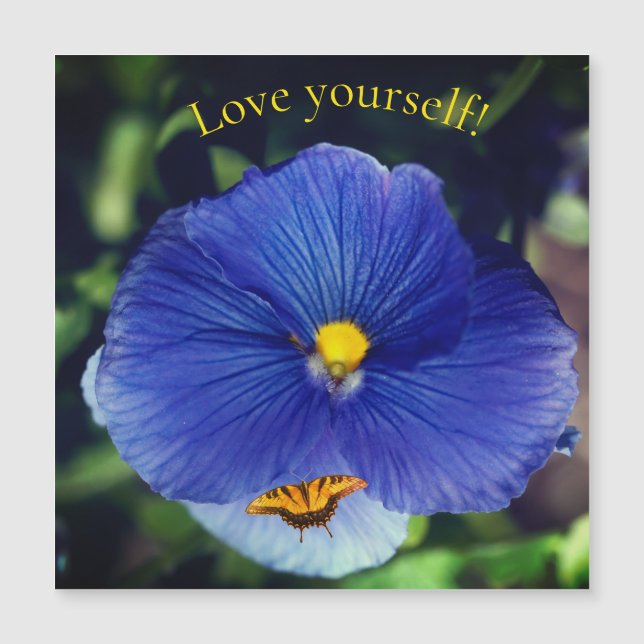 violeta azul amor-perfeito (Frente)