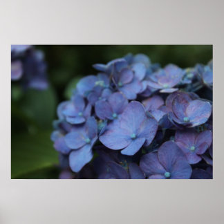 Violeta na Poster Twilight