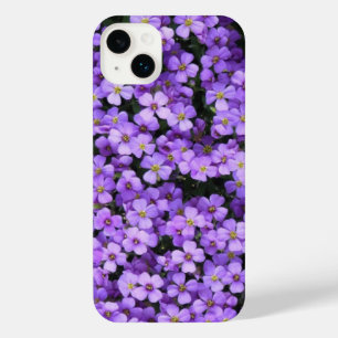Violetas das Flores Violetas