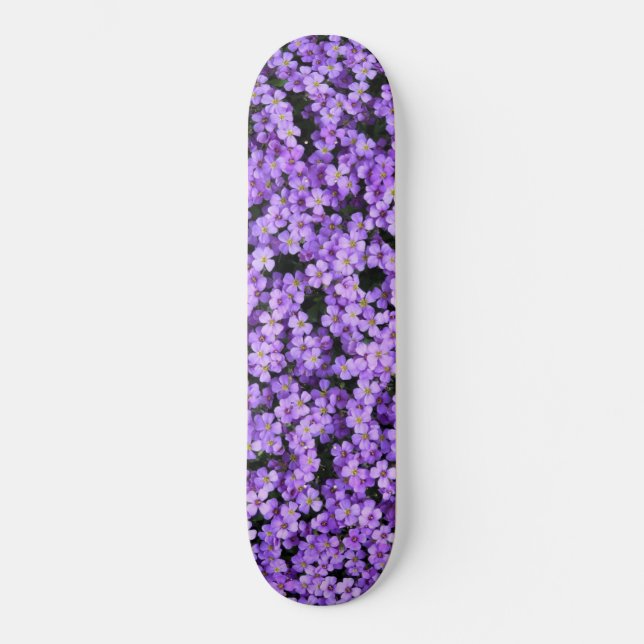 Violetas de skate Flores violetas Primavera púrpur (Frente)