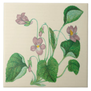 Violetas do azulejo da cozinha do país dos