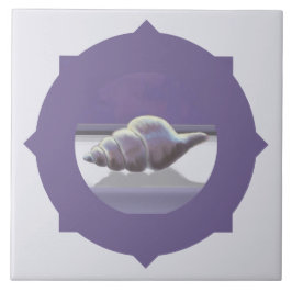 violetas em vidro luar