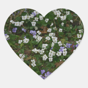 Violetas São. . . adesivos