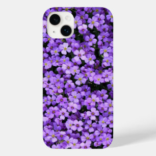 Violetas Violetas Primavera Roxos