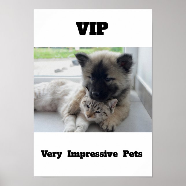 VIP Muito Impressionante Pets Cachorro Poster (Frente)