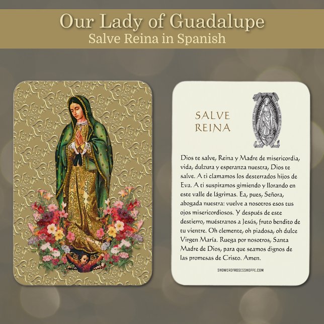 Virgem Maria Salve Reina Espanhola Oração Santa (Featuring a beautiful image of Our Lady of Guadalupe with the Hail Holy Prayer in Spanish.)