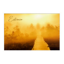 Viru Bog Ouro Sunrise