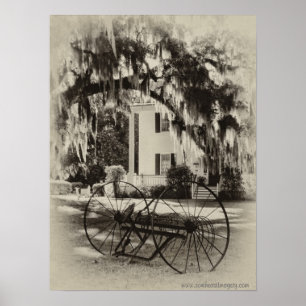 Visão da Velha poster do Sul