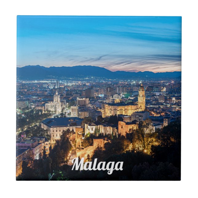 Visão noturna da Catedral de Málaga em Málaga, Esp (Frente)