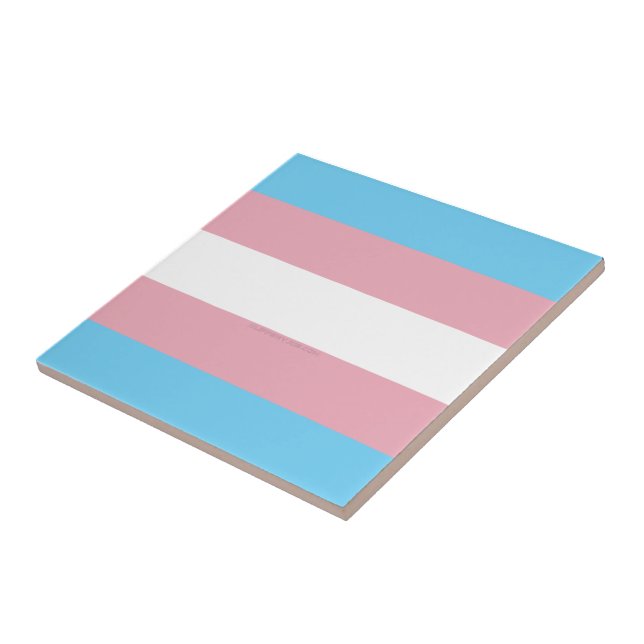Visibilidade da bandeira do orgulho transgênero da (Lateral)