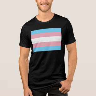 Visibilidade da bandeira do orgulho transgênero Sl