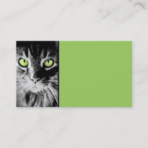 Visita arte de modelo de cartão de negócios de gatinho