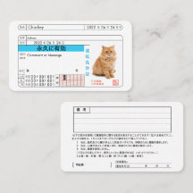 Cartão Personalizado de Carteira de Motorista Japo