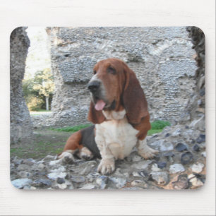 Visita de Ruin ao Castelo de Hound de Mousepad Bas