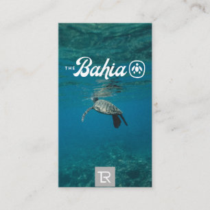 Visita Logotipo de Tartaruga do Mar de Abertura e Cartão