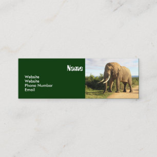 Visita Mini Modelo de cartão de negócios magro do elefante