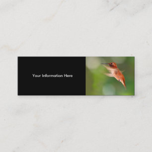 Visita Mini perfil ou cartão de visita, colibri