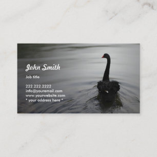 Visita Natação elegante da cisne preta em um cartão de