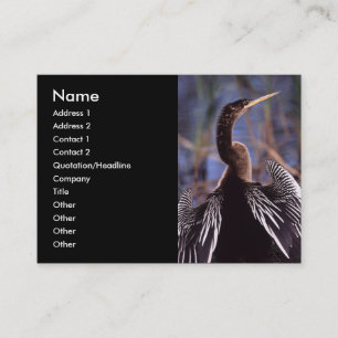 Visita perfil ou cartão de visita, anhinga