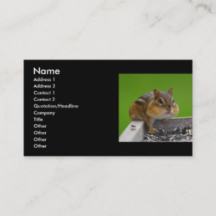 Visita perfil ou cartão de visita, chipmunk