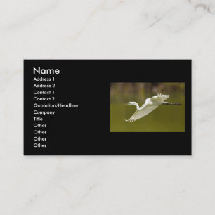 Visita perfil ou cartão de visita, egret