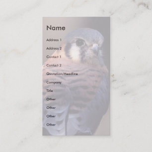 Visita perfil ou cartão de visita, kestrel
