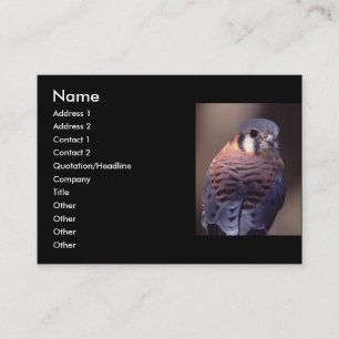 Visita perfil ou cartão de visita, kestrel