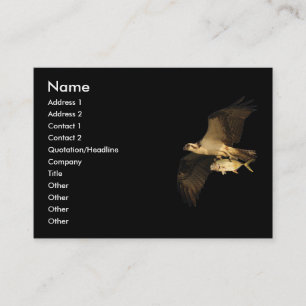 Visita perfil ou cartão de visita, osprey
