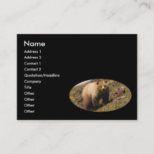 Visita perfil ou cartão de visita, urso de urso