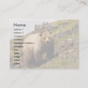 Visita perfil ou cartão de visita, urso de urso