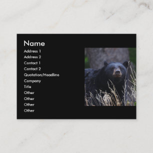 Visita perfil ou cartão de visita, urso preto