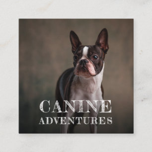 Visita Quadrado Cachorro Walker E Cachorro Aventura Cartão de visi