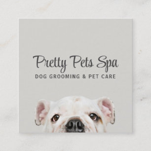 Visita Quadrado Pet Grooming Sitter Dog Spa Square Cartão de visit