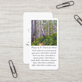 Visita Rua. Francis de Assisi Simpatia Cartão de Oração