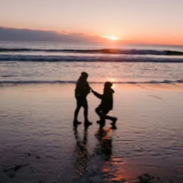 Visitas Livro Convidado de Casamento de Proposta de Praia 