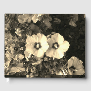 Visitas Livro de convidados