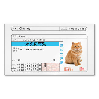 Visitas Magnético Cartão Personalizado de Carteira de Motorista Japo